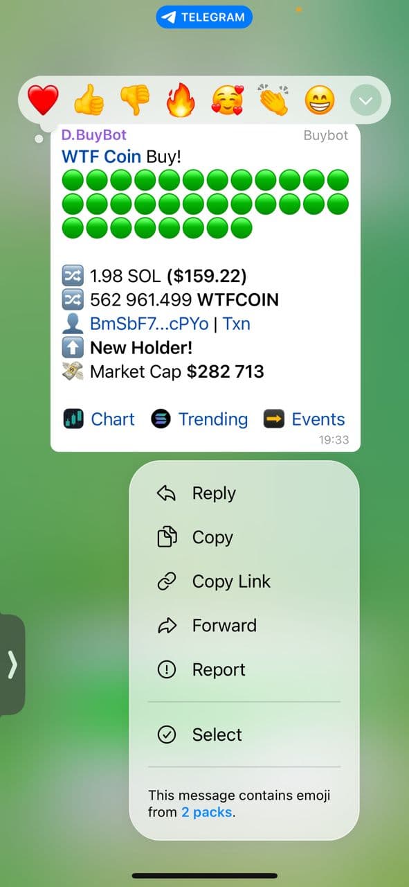 Live BuyBot tracking a $WTF Coin transaction automated on-chain alerts powering the current project